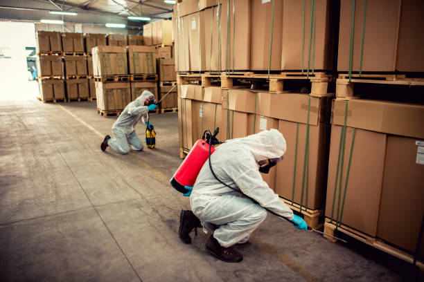 Best Local Pest Control Services  in Absecon Highlands, NJ