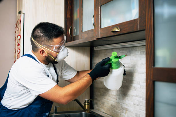 Best Wildlife Control Services  in Absecon Highlands, NJ