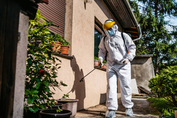 Best Pest Prevention Services  in Absecon Highlands, NJ