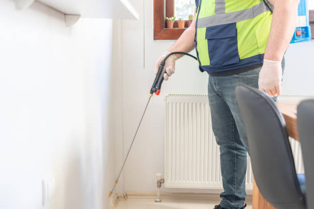 Trusted Absecon Highlands, NJ Pest Control Experts